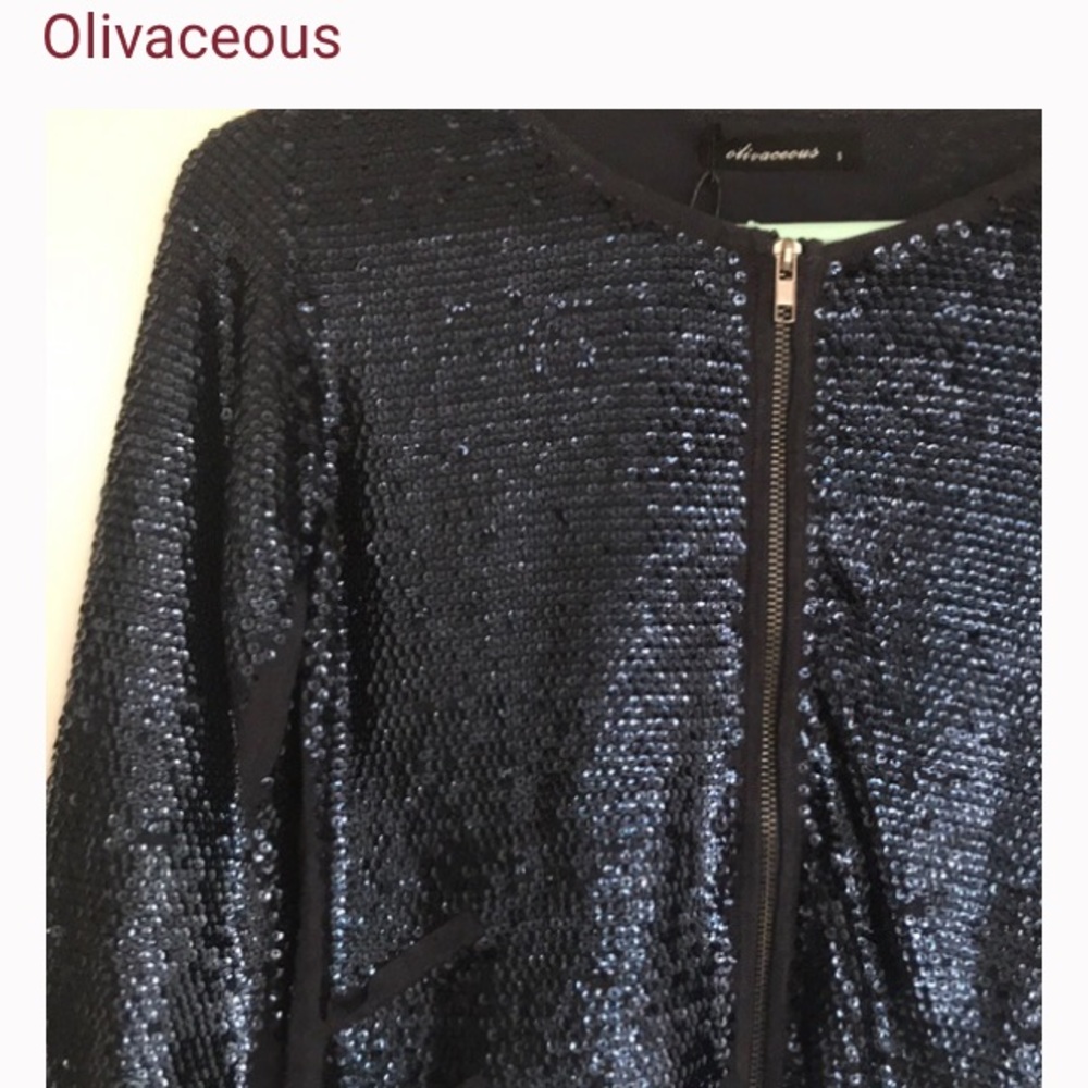 Olivaceous Silver Sequinned Zip Front Jacket - Picture 7 of 15